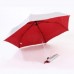 Foldable Umbrella