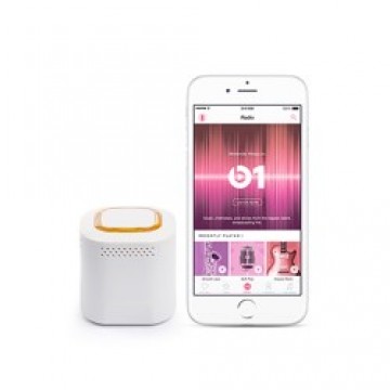 Speaker & Microphone