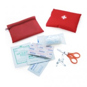 Mini First Aid Kit with Pouch