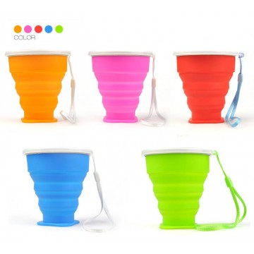 Plastic Bottle