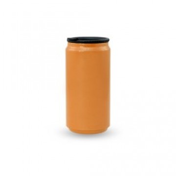 Stainless Steel Bottle