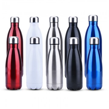 Insulated Stainless Steel Sports Bottle