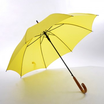 Umbrella & Poncho