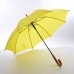 Umbrella & Poncho