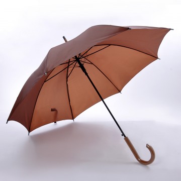 Umbrella & Poncho