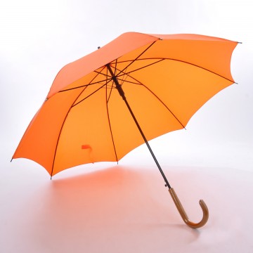 Umbrella & Poncho