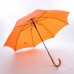 Umbrella & Poncho