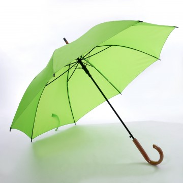 Umbrella & Poncho